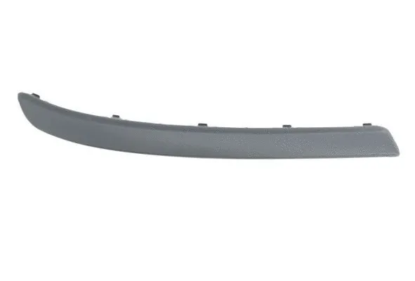Trim/Protection Strip, bumper (5703-05-5023924Q)