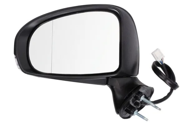 Exterior Mirror (5402-19-2002451P)
