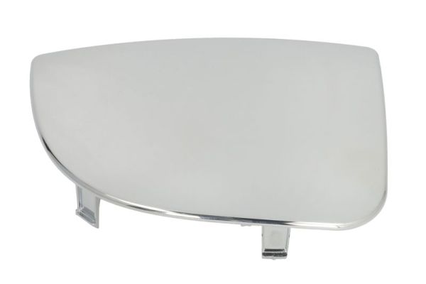 Mirror Glass, exterior mirror (5402-04-1131116P)