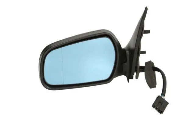 Exterior Mirror (5402-04-1129313)