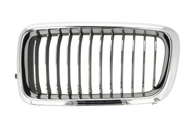 Radiator Grille (6502-07-0075995PP)