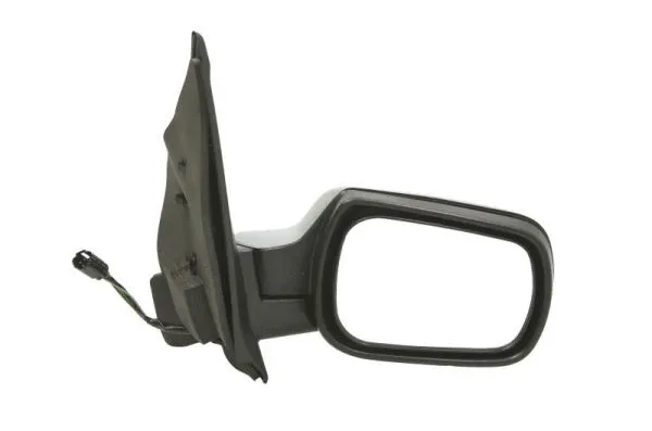 Exterior Mirror (5402-04-1129389)