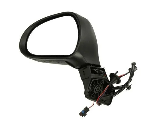 Exterior Mirror (5402-04-1121543P)