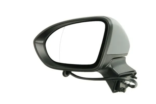 Exterior Mirror (5402-04-0405291P)