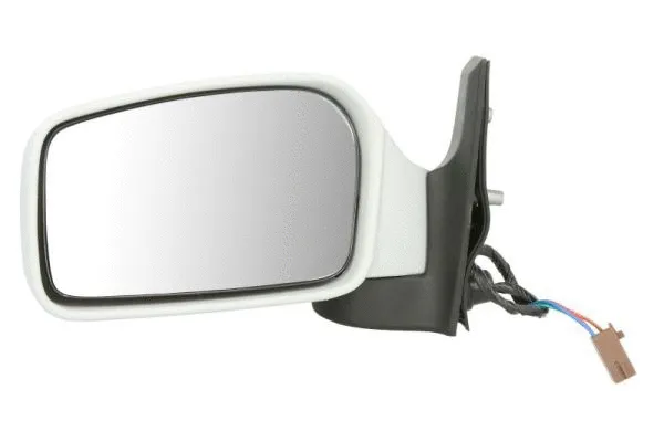 Exterior Mirror (5402-04-1139358)