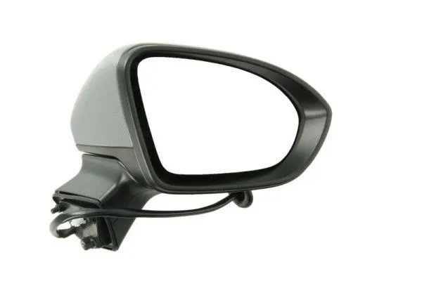 Exterior Mirror (5402-04-0405292P)
