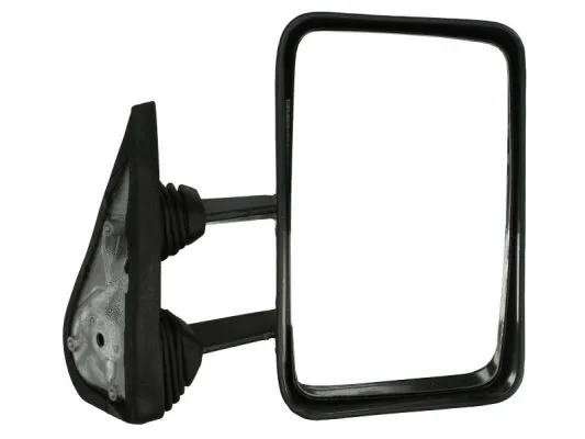 Exterior Mirror (5402-04-1192972)