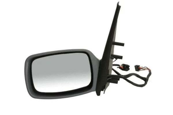 Exterior Mirror (5402-04-1139381)
