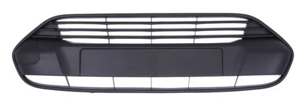 Ventilation Grilles, bumper (6502-07-2508996Q)