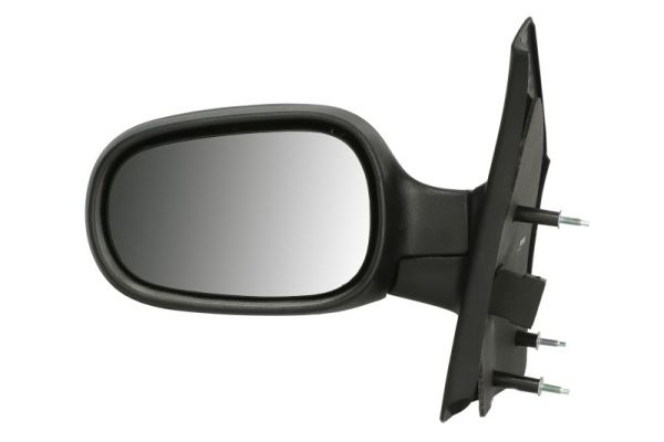 Exterior Mirror (5402-04-1139232P)