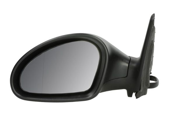 Exterior Mirror (5402-04-1125997P)