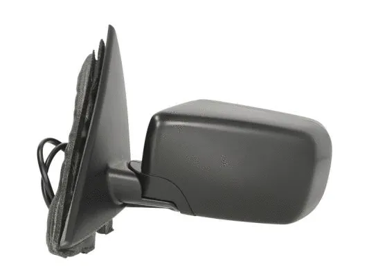 Exterior Mirror (5402-04-1129827)