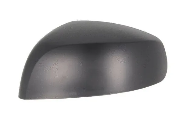 Housing, exterior mirror (6103-04-2001973P)