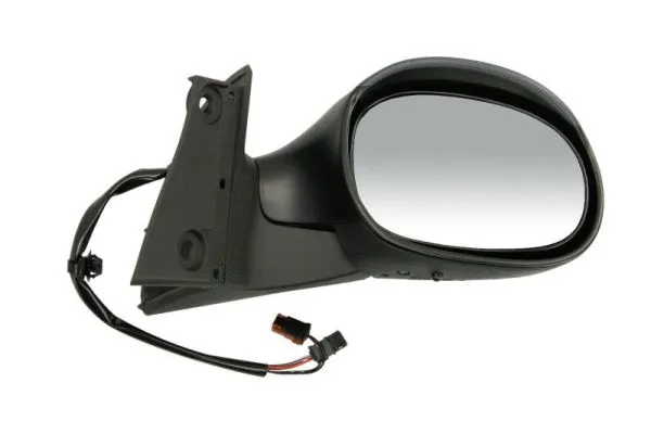 Exterior Mirror (5402-04-9221722P)