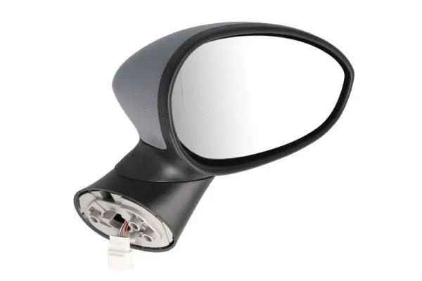 Exterior Mirror (5402-04-1122933)