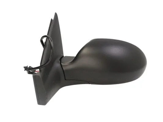 Exterior Mirror (5402-04-1125852)