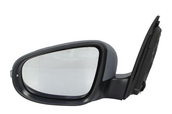 Exterior Mirror (5402-04-1121589P)