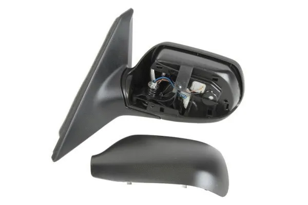 Exterior Mirror (5402-04-1125991)