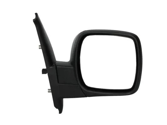 Exterior Mirror (5402-04-1121579P)