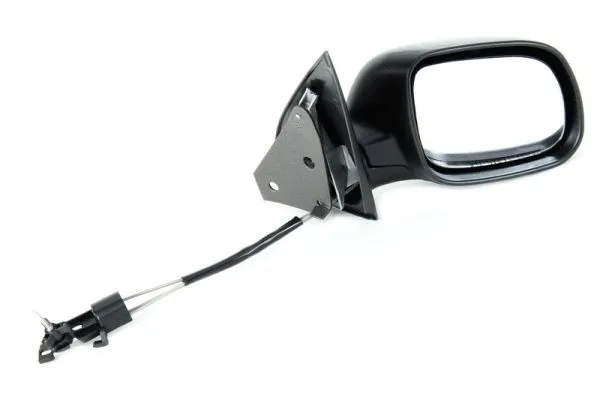 Exterior Mirror (5402-04-1115523P)