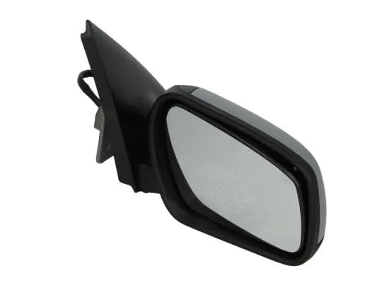 Exterior Mirror (5402-04-1129376)