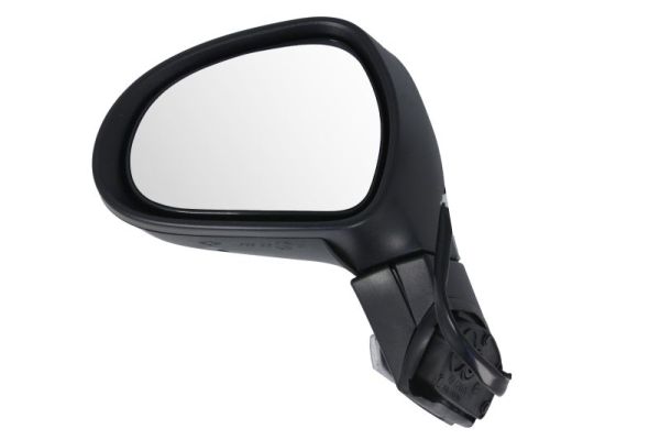 Exterior Mirror (5402-04-1131281P)
