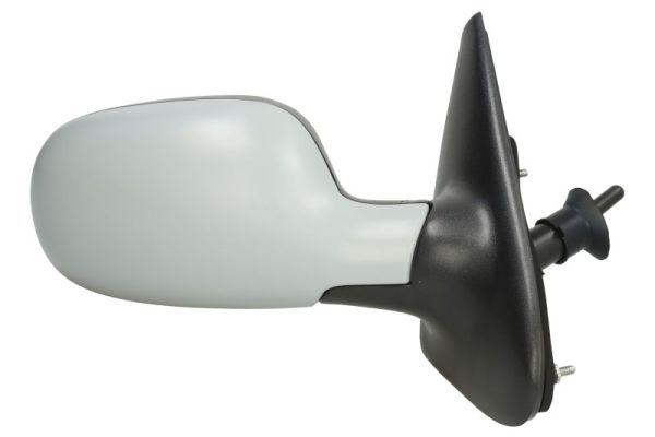 Exterior Mirror