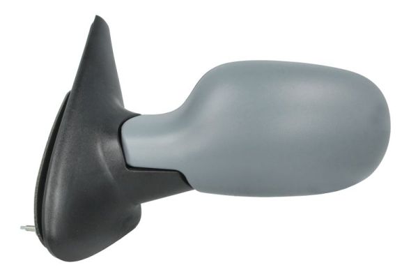 Exterior Mirror