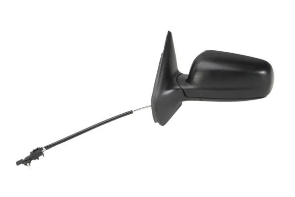 Exterior Mirror (5402-04-1111127P)