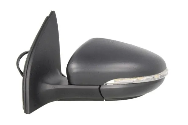 Exterior Mirror (5402-01-2002631P)