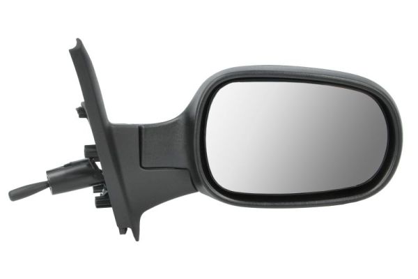 Exterior Mirror (5402-04-1115528P)