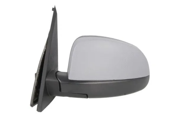 Exterior Mirror (5402-04-2001997P)