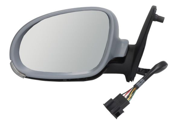 Exterior Mirror (5402-04-1129891)