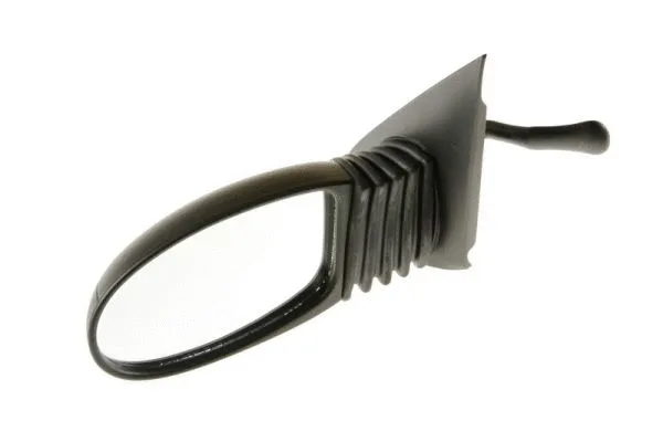 Exterior Mirror (5402-04-1137911)