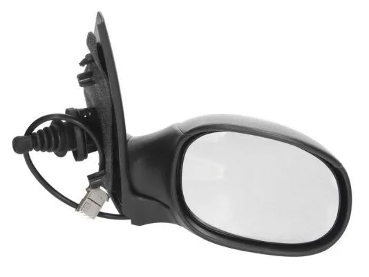 Exterior Mirror (5402-04-1132283P)
