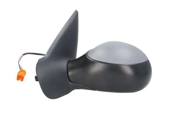 Exterior Mirror (5402-04-1125295P)