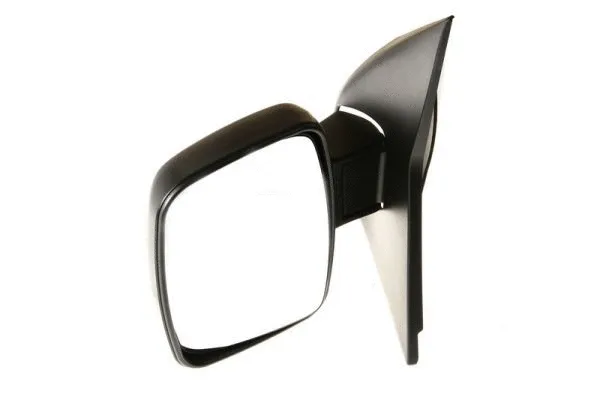 Exterior Mirror (5402-04-9291919)