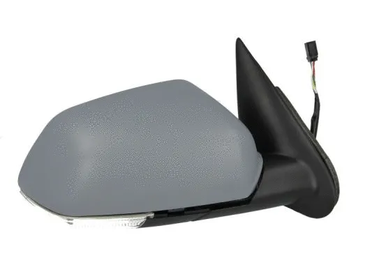 Exterior Mirror (5402-04-1129524P)