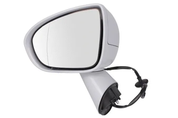 Exterior Mirror (5402-04-2002001P)