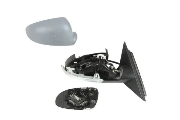 Exterior Mirror (5402-04-1121117P)