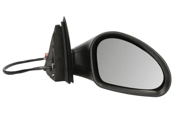Exterior Mirror (5402-04-1121892P)