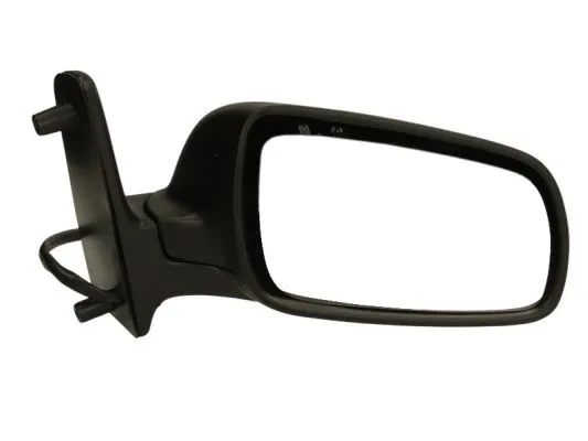 Exterior Mirror (5402-04-1129132)