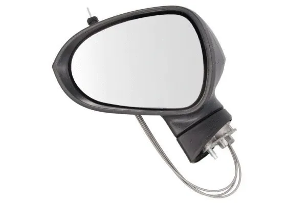 Exterior Mirror (5402-10-2002283P)