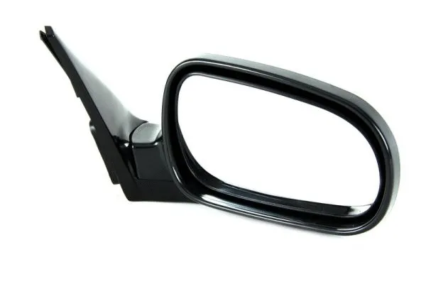 Exterior Mirror (5402-04-1121621P)
