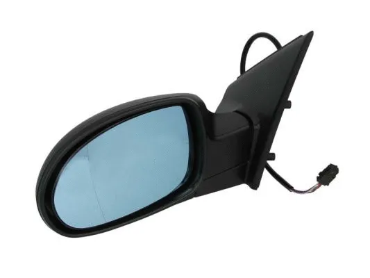 Exterior Mirror (5402-04-1139850)