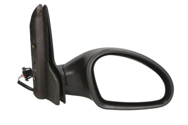 Exterior Mirror (5402-04-1138951P)