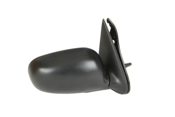Exterior Mirror (5402-04-1115522P)