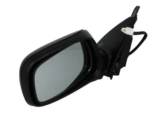 Exterior Mirror (5402-04-1125215P)