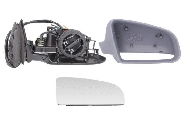 Exterior Mirror (5402-04-1129595)
