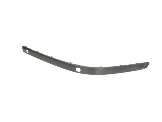 Trim/Protection Strip, bumper (5703-05-0065927PP)